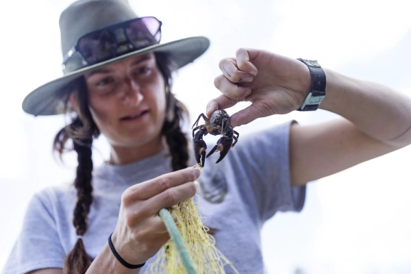 Перемешивание — это пульсация глубоких озёр. В Крейтер-Лейк течение замедляется. 12 Джейден Беллами вытаскивает рака из желтой сети.