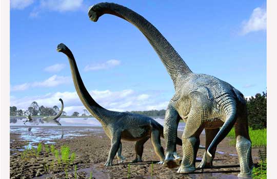 04a03d256610c9ee3409c4cc8b87a724