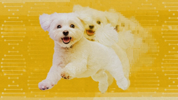 Клонирование применяется не только к&hellip;