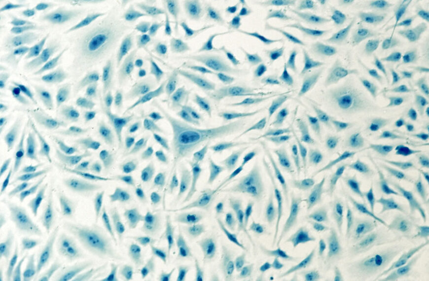 Ученые сокращают объем 3D-печати, чтобы&hellip;