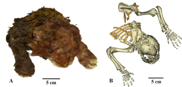 Я устал. я мухожук