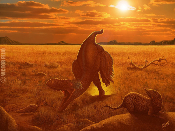 0cb707f976783e9195593bb5702f4c79