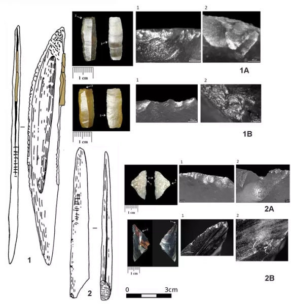 Древние жители Кавказа создавали сложные орудия для охоты и разделки мяса из простых каменных пластинок 1 0f6f73a70297509da82deae5471200e9.jpg