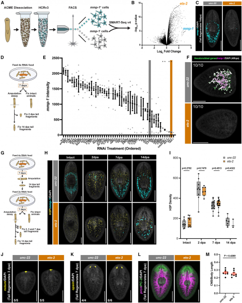 174565ec6c862b4821aa3995aa58db8e