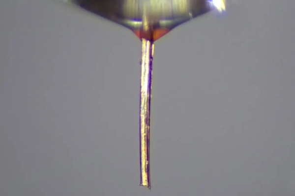 Хоботок комара превратился в тонкую насадку для 3D-печати 2 174a40c7877b19f328672f64fb99531c.jpg