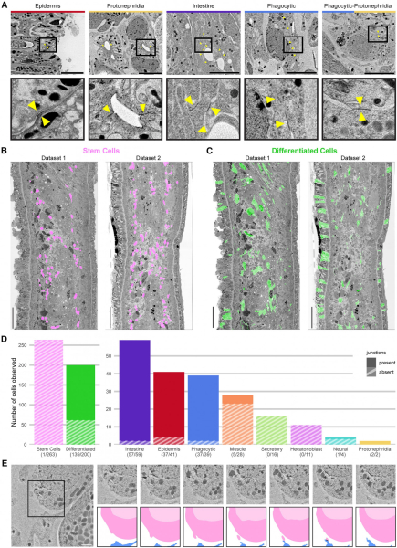 1913f0ed46afd2a5d2f95717437d73c5