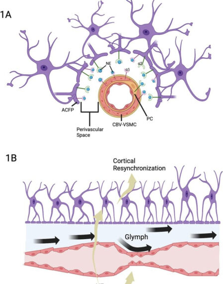 Энергия «Ци» – основа сознания?