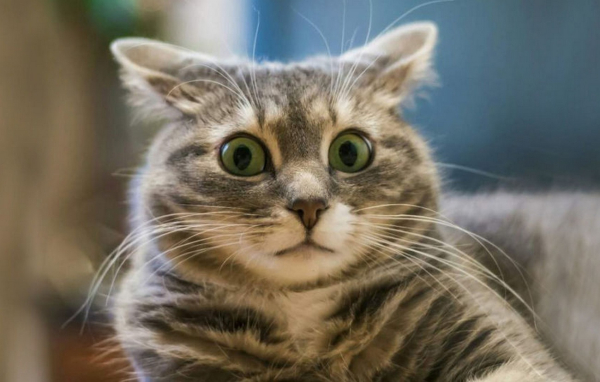 Промпт для QA: представь, что&hellip;