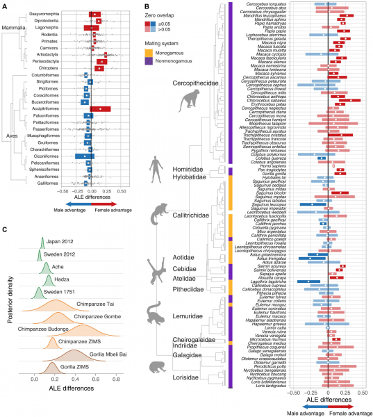 231ff5a081349628ac0d342c94b8e4d5