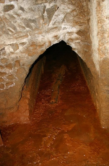 241c8c2887509d31f4313353276a7b5c