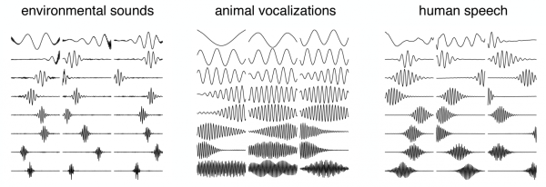 Примеры показанных выше фильтров Примеры показанных выше фильтров