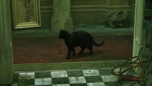 Компьютерная Вселенная. Сбой в Матрице выглядит так. Компьютерная Вселенная. Сбой в Матрице выглядит так. Фото.