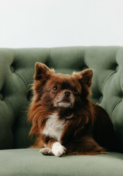 Сегодня хочу рассказать вам про&hellip;