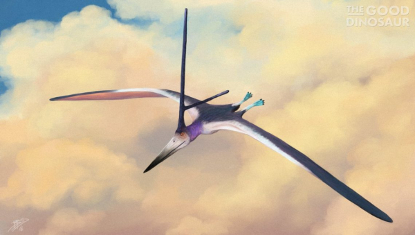 27e806a4e268881372b41dbcb44fd5f4