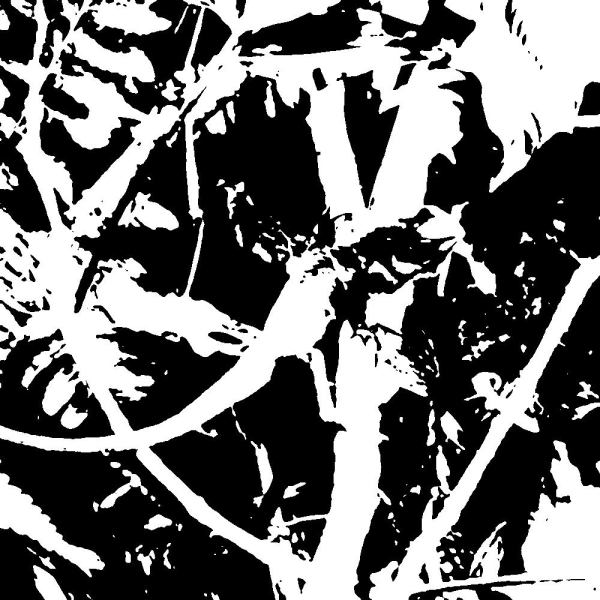 Как ваш мозг создает моменты «ага» и почему они запоминаются 10 Черно-белое изображение Муни