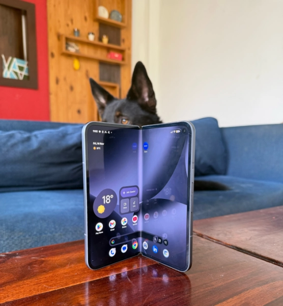 311531633790db97b4c4544f1f464dee