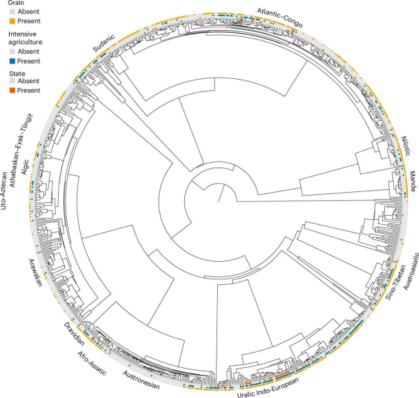Налоги на урожай, а не сельское хозяйство в целом, подтолкнули людей к созданию первых государств 2 Филогенетическое древо
