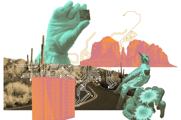 Новая Кремниевая долина (в буквальном смысле) 2 На рисунках изображены скальные образования в пустыне, растения и птица, рука в перчатке, держащая чип, и стойки с серверами.