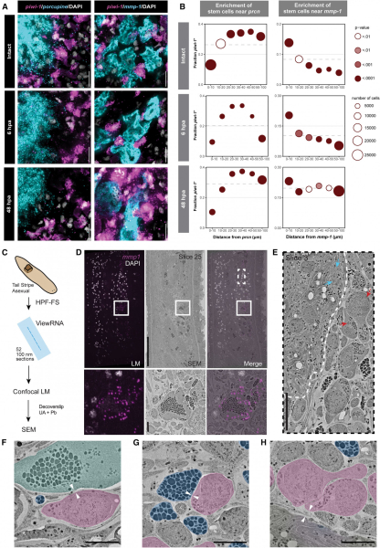 37ce743da1ad8d7d27d1722dc4c8117d