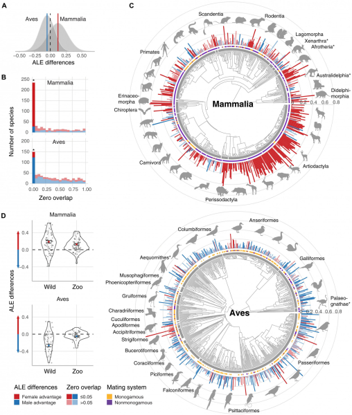 3a0cd6848ec4ed858bec8ca90aaaa2dc