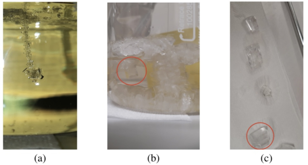 Рис. 2: (a) Начальная кристаллизация сахара на подвешенной нейлоновой нити, погруженной в перенасыщенный раствор; (b) Кристаллы сахара, сформированные после нескольких недель медленной рекристаллизации. Пример монокристаллического кристалла указан в круге; (c) Кристаллы сахара, собранные из перенасыщенного раствора. Кристалл, выделенный в круге, был выбран для прототипа детектора, описанного в этой работе. Рис. 2: (a) Начальная кристаллизация сахара на подвешенной нейлоновой нити, погруженной в перенасыщенный раствор; (b) Кристаллы сахара, сформированные после нескольких недель медленной рекристаллизации. Пример монокристаллического кристалла указан в круге; (c) Кристаллы сахара, собранные из перенасыщенного раствора. Кристалл, выделенный в круге, был выбран для прототипа детектора, описанного в этой работе.