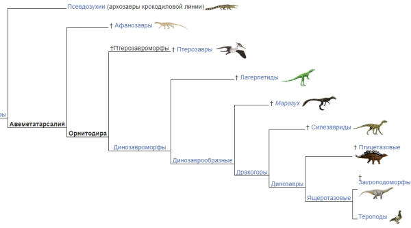 45a42289158ba5181e6eab52c96073ef