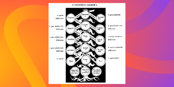 Древо Порфирия. Источник: Wikimedia Commons — архив свободных изображений и медиа. URL: https://commons.wikimedia.org/wiki/File:%D0%94%D0%B5%D1%80%D0%B5%D0%B2%D0%BE_%D0%9F%D0%BE%D1%80%D1%84%D0%B8%D1%80%D0%B8%D1%8F.png  (дата обращения: 06.10.2025) . 