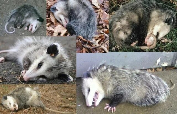 Неконтролируемый инсульт жопы 3 49b6df9433ac2a40cb4611a68e64abc3