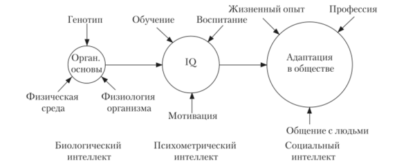 Типы концепций интеллекта по Г. Ю. Айзенку