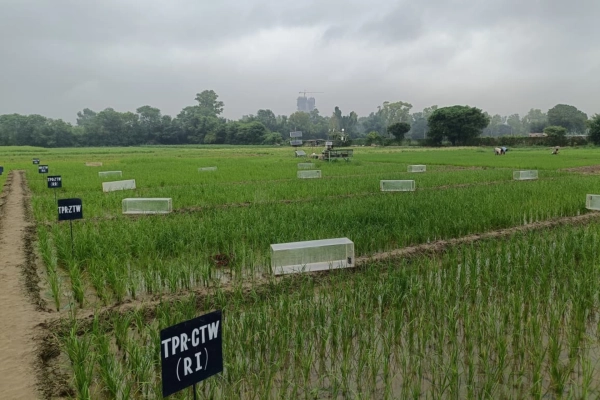 4cb9a62c679b863d83ff63c8bd6c2a0a