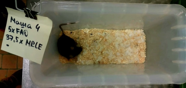 4d7f3a455b22664eb35386915a773333