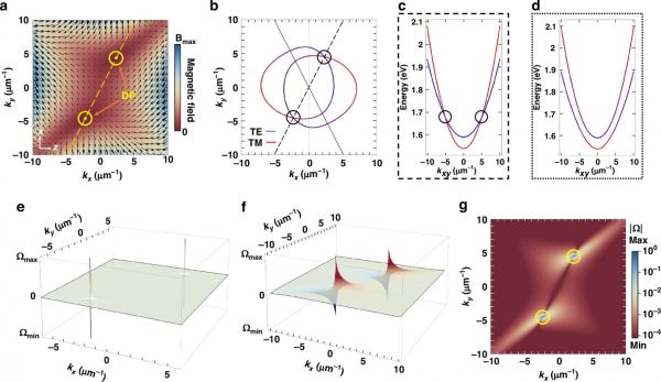 Рисунок 2. a) Карта синтетического магнитного поля. Эта карта показывает рассчитанное эффективное магнитное поле, которое «чувствует» свет в зависимости от его импульса (направления движения). Стрелки указывают направление поля, а цвет — его силу. В двух особых точках синтетическое магнитное поле полностью обнуляется. (b, c, d). Эти графики сравнивают энергетические уровни двух световых мод. На пути, который проходит точно через дьявольские точки (с), уровни просто пересекаются, не взаимодействуя друг с другом.  На любом другом пути (d) уровни «отталкиваются», образуя зазор (анти-пересечение). ( e, f, g) Визуализация топологии через кривизну Берри. Кривизна Берри — это фундаментальная характеристика, описывающая «закрученность» квантовой системы.  Графики (e) и (f) показывают, что именно в особых точках кривизна Берри становится бесконечной, образуя два острых пика (положительный и отрицательный).        Карта (g) наглядно выделяет эти две точки с экстремальной кривизной. Наличие таких сингулярностей является неопровержимым математическим доказательством того, что в системе создано нетривиальное топологическое состояние. Источник: Light: Science &amp; Applications 