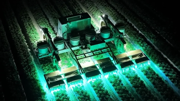 Этот стартап, поддерживаемый Хослой, может&hellip;