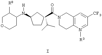 Найдено самое длинное слово русского&hellip;