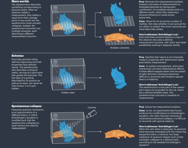 523bcd02d3a5146d1fb270d0b5fa9dbe