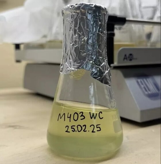 Цианобактерии в московских водоемах: опасность&hellip;