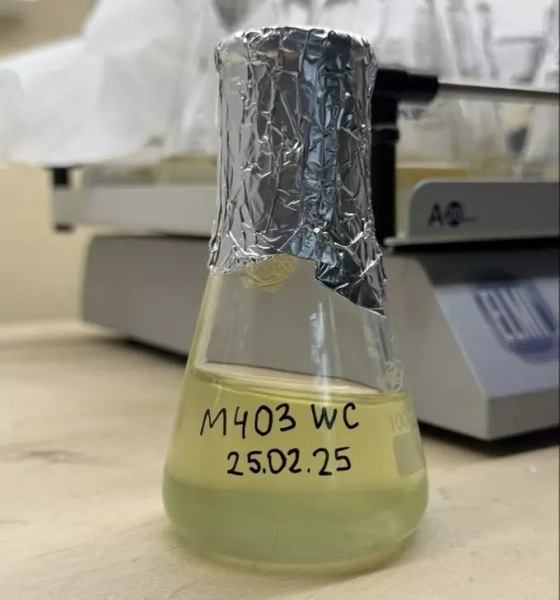 Цианобактерии в московских водоемах: опасность токсичных штаммов и необходимость контроля 2 52bf32c2f52359c20e2bf3f6806ee924.jpg