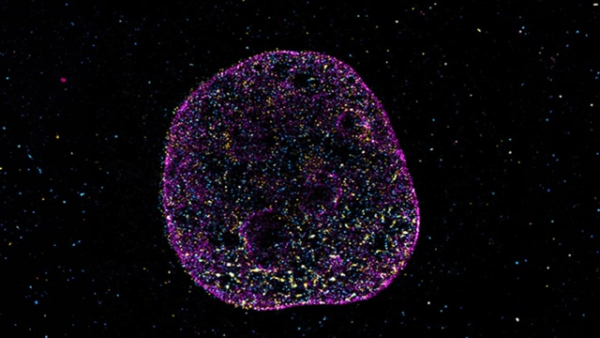 Ученые обнаружили «геометрический код», который&hellip;