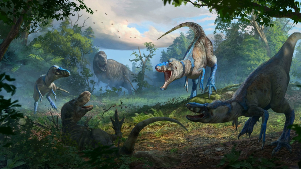 52f8fd0118a5692e70544b9045afcac1