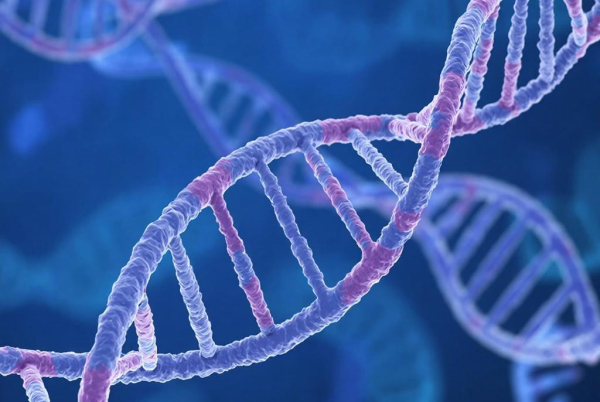 Эволюция продолжается: доказательства современной адаптации&hellip;