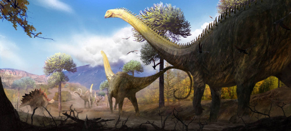 5548b8567208d700d28a8aefc529b436