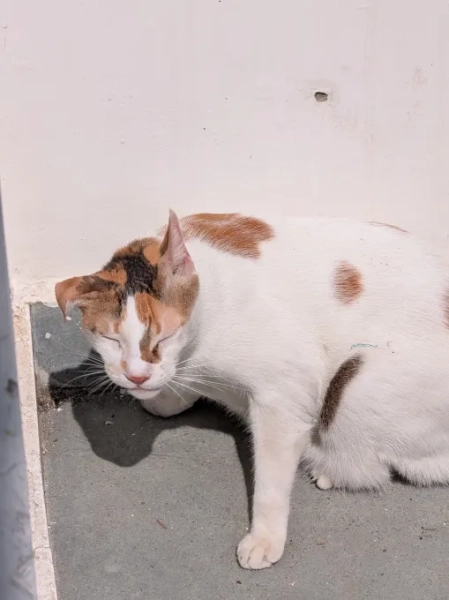 58338c1891bd14f87432af5a2f298c98