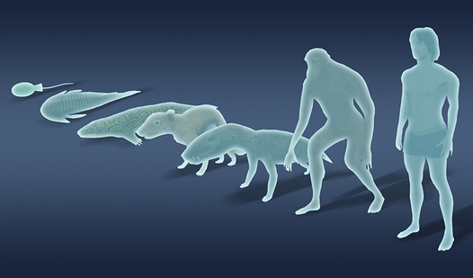 Эволюция как Пробуждение от Сна:&hellip;