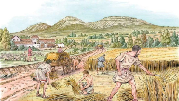 Налоги на урожай, а не&hellip;