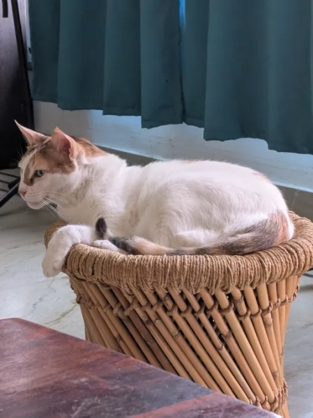 5d390acbeadfc180bbcc06d4862977f0