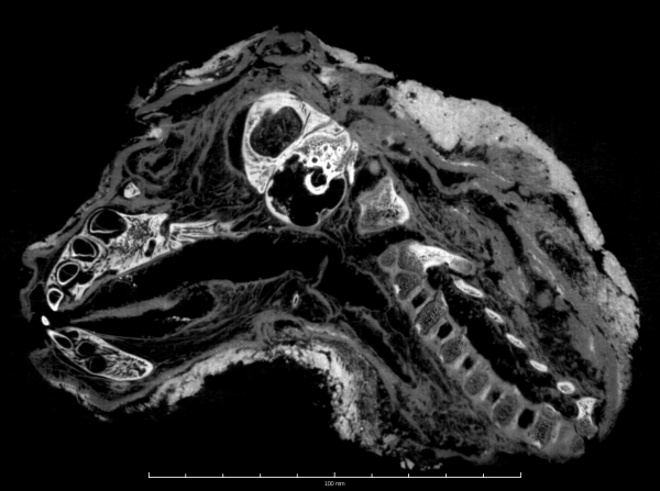 Ничего не понятно, но очень интересно