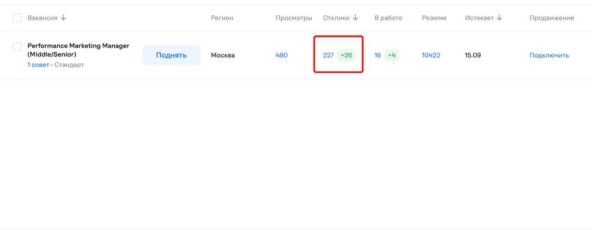 Ад на рынке труда. Опыт трудоустройства от студента в 2025