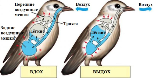 645cd2437afdf3e2fba1ad7836991931