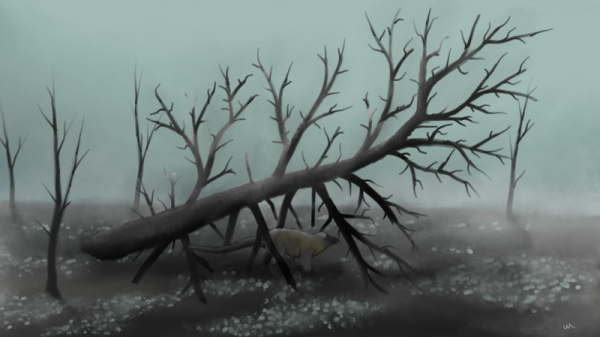 653d7f8e8ef59d4d4d5edd42656f6e58