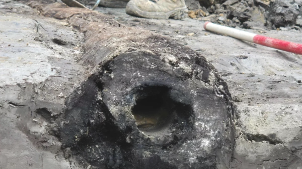 6a287e9b2ab7b68bee450fe17c924e69